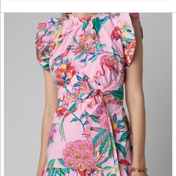 Banjanan BulBul Pink Floral Mini Dress with Ruffle Sleeve Detail and Tie Waist - Picture 3 of 9